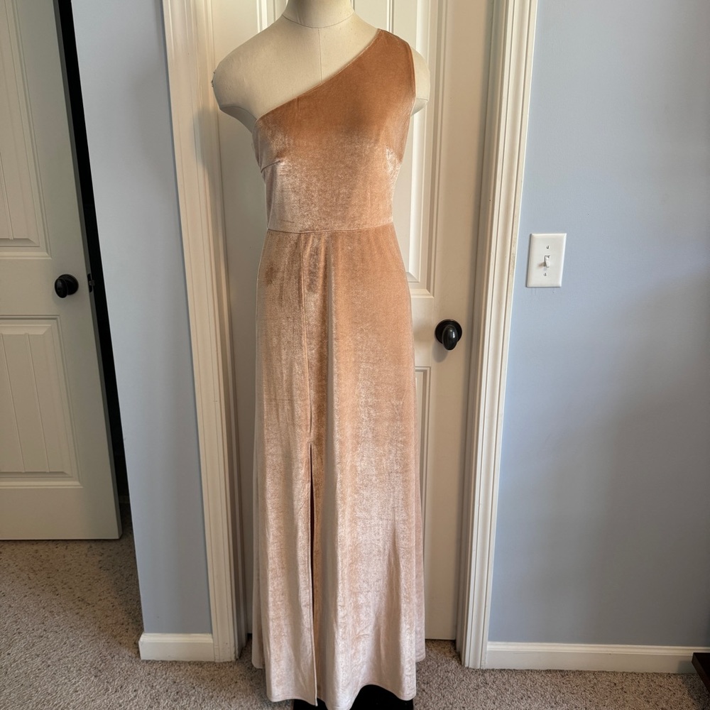 Baltic Born Medium Tatiana Velvet One Shoulder Maxi Dress